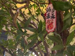 -静耳元気采耳·按摩·SPA(万象前海店)