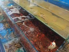 -仙螺岛海鲜自助餐厅(总店)