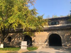 -灵谷景区