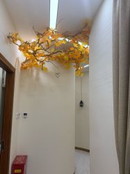 -芳朵美容养生SPA