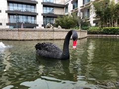 -南京圣和府邸豪华精选酒店