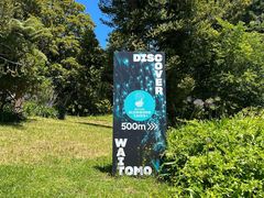 -怀托摩萤火虫洞