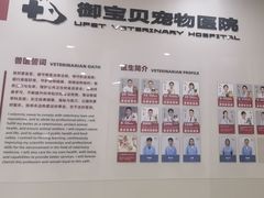-御宝贝24h宠物医院·转诊中心·CT核磁血透中心(厦门总院)