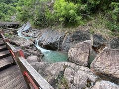 -广州白江湖森林公园