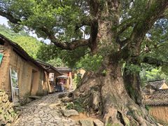 -杨家堂村