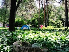 -黑龙江省森林植物园