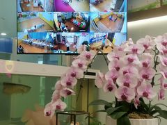 -艺年级儿童语言艺术中心(冉家坝爱融荟城店)