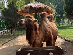 -北京野生动物园