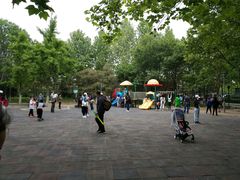 -大兴滨河森林公园