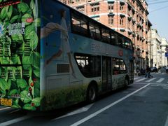 -BUS TOUR观光巴士