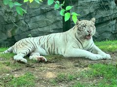 -北京野生动物园