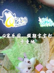 -七巧国萌宠乐园(龙湖天街店)
