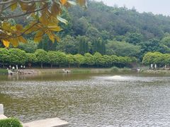 -南京市无想山景区