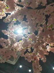 -简影造型·自选烫染接发salon