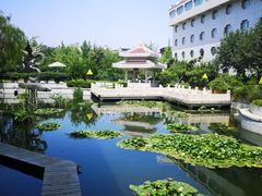 -陶然居大酒店·自助餐