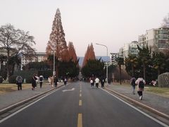 -南京维景国际大酒店(南京博物院店)