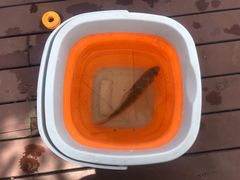 -帐篷客·溪龙茶谷度假酒店