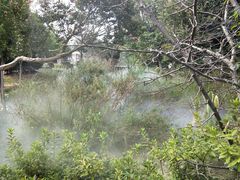 -武汉紫薇都市田园