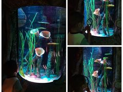 -沈阳海洋探索中心