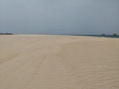 -东郊椰林