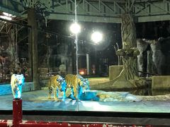 -清迈夜间动物园