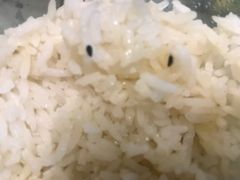 -bluefrog蓝蛙(皇庭广场店)