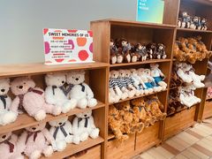 -济州岛泰迪熊博物馆