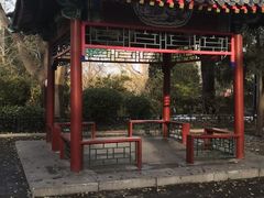 -后海公园