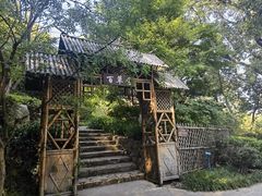 -上海市保健医疗中心