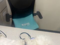 -小伙伴宠物医院•急重症转诊中心·老年专科·犬猫全科(北大街总院)