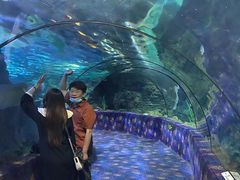 -郑州海洋馆
