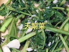 炝炒天鹅菜-青城甲(青城山店)