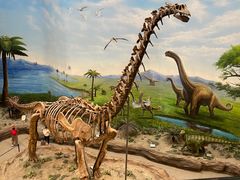 -辽宁古生物博物馆