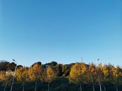 -大蜀山国家森林公园