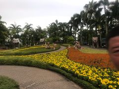 -东芭乐园