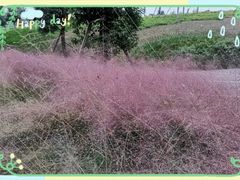 -三圣里·中餐宴请·自助烤肉·烤全羊·柴火鸡(旗舰店)