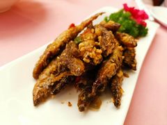 -复旦大学本部-食堂