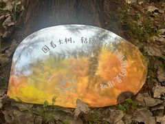 -南京市无想山景区