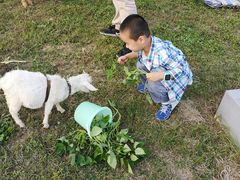 -上海滴水湖皇冠假日酒店