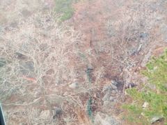 -崂山巨峰游览区