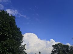 -瑞余烤鱼堂(鑫都国际店)