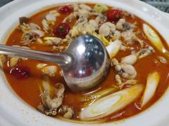 -付掌柜在成都·热炒砂锅集(金禾店)