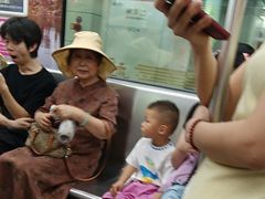 -闸弄口(地铁站)