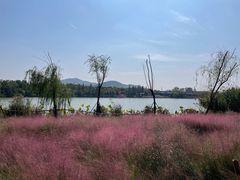 -云龙湖旅游景区