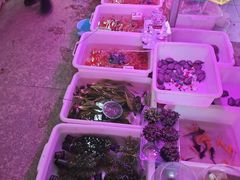 -双季花艺园艺市场(浦东店)