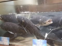 -上名堂·鱼头好吃(体育场路店)