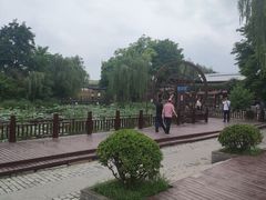 -茯茶镇