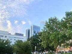 -青岛市图书馆