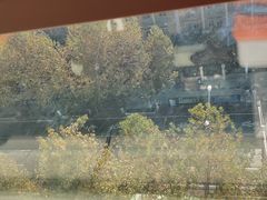 -串一火锅(赛格国际购物中心店)