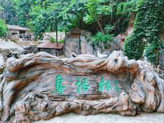 -燕塞湖鸟语林景区